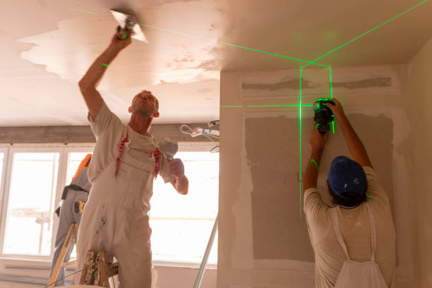 Mold Documentation for Insurance Claims in Jackson, KY